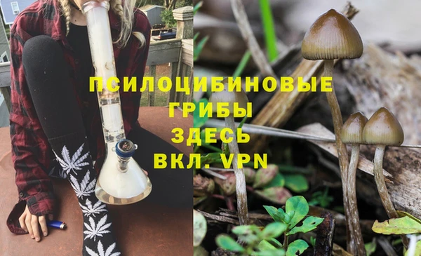 герыч Алексеевка