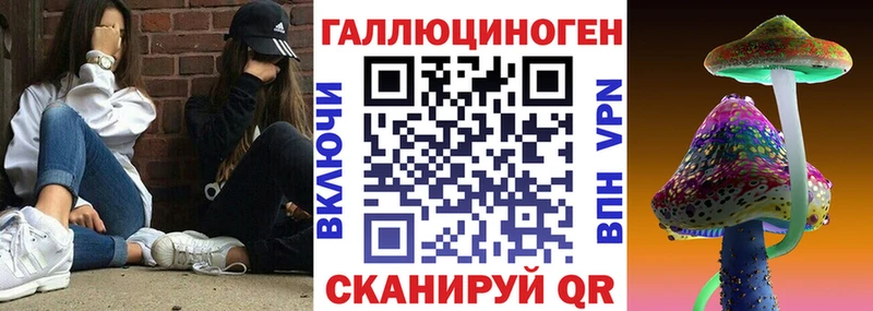 наркота  Рубцовск  Псилоцибиновые грибы ЛСД 