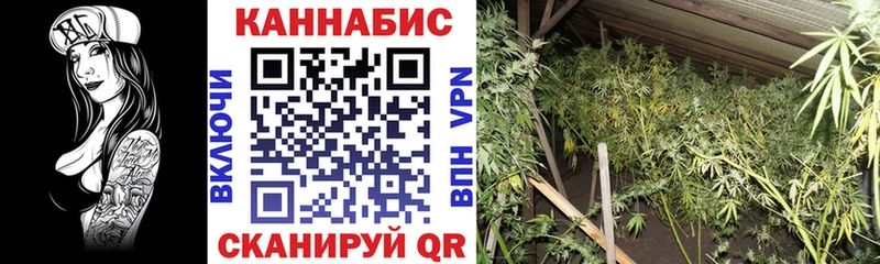 как найти   Рубцовск  Бошки Шишки Amnesia 